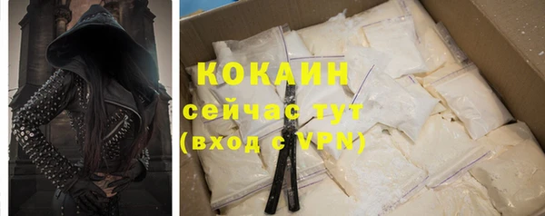 гидра Коряжма