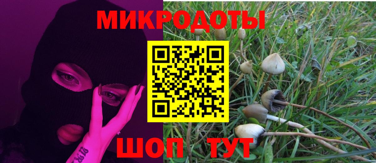 Галлюциногенные грибы Psilocybe  купить закладку  Красный Сулин  Вход с VPN 